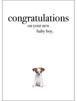 Animal New Baby Boy Greeting Card