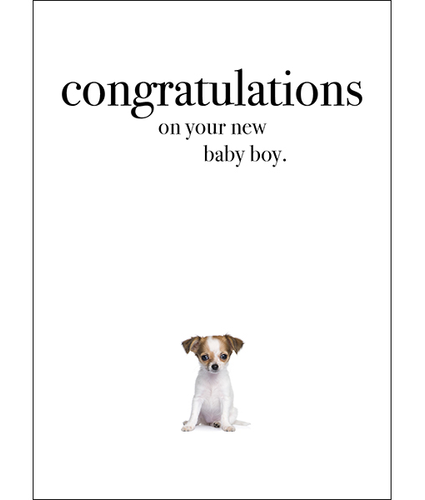 Animal New Baby Boy Greeting Card