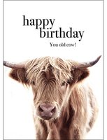 You Old Cow Birthday Card