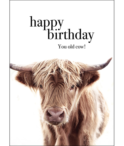 You Old Cow Birthday Card