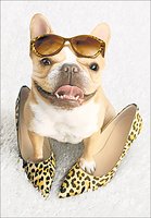 Pug in Shoes Card