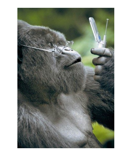 Gorilla Flip Phone Card