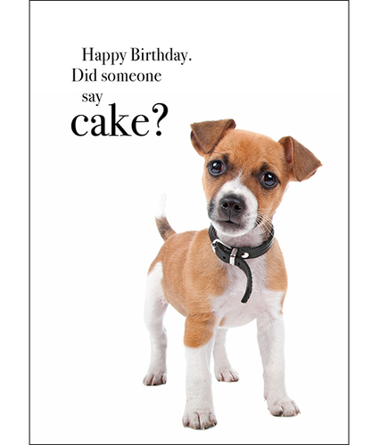 Did Someone Say Cake Birthday Card