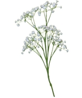 Gypsophilia Spray 