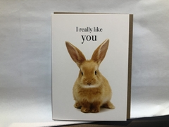 I Really Like You Card 