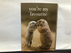 You're My Favourite Card