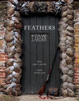 Feathers - The Game Larder-gift-ideas-Tessa Mae's with Attitude | Gifts and Homewares | Mapua NZ