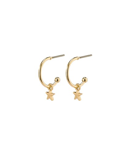 Ava Pi Gold Plated Earrings