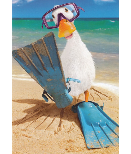 Duck at the Beach Card