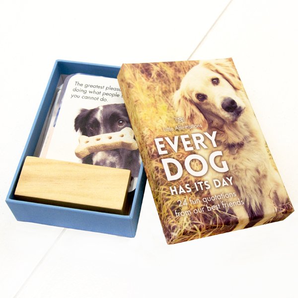 Everydog box shop