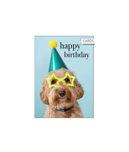 Happy Birthday You Party Animal