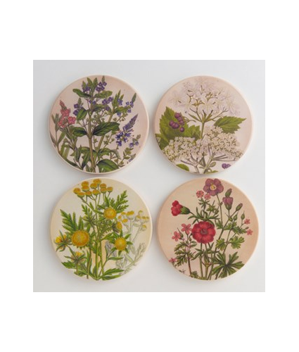 Coasters Set Medicinal Plants