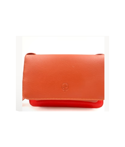 Multi Cross Body Leather Bag