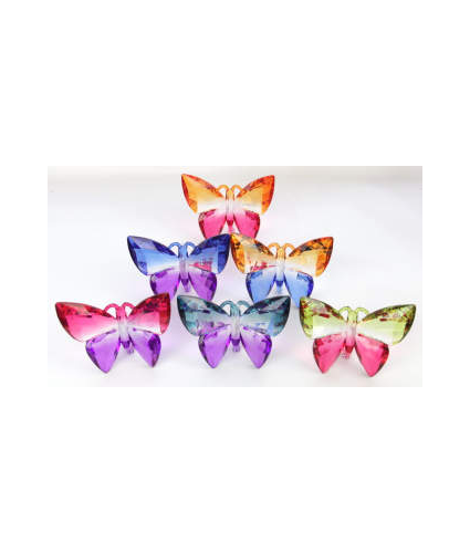 Butterfly acrylic standing two tone rainbow