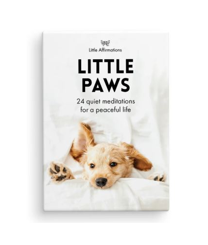  Little Paws  24 affirmation cards and stand