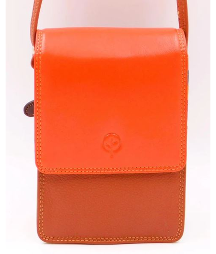 Crossbody Leather Travel Bag in Multi  