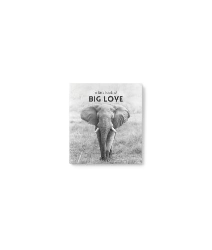 Big Love Little Affirmation Book