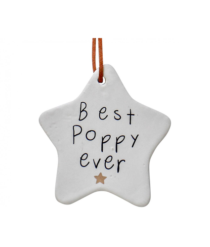 Best Poppy Hanging Star