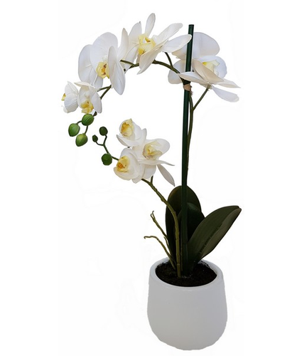 Real Touch Orchid