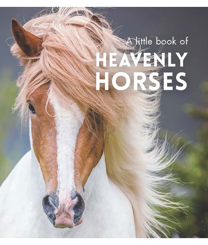 Little Book Heavenly Horses