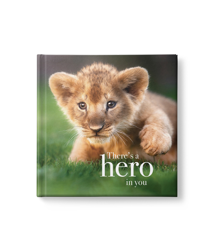 Theres A Hero In You Book