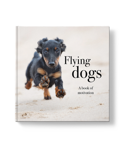 Flying Dogs Book of Motivation