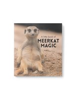 Little Book Meerkat Magic