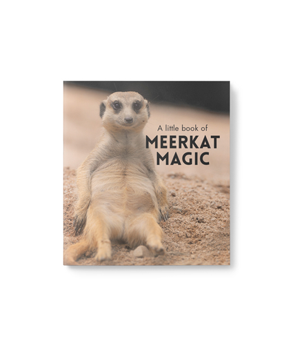 Little Book Meerkat Magic