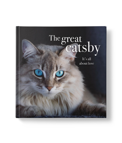 The Great Catsby 