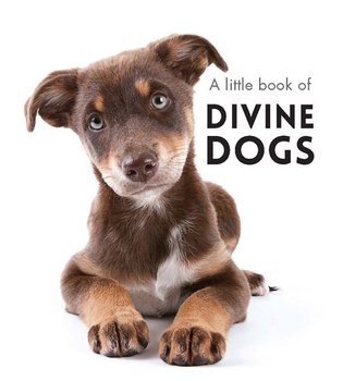 Little Book Divine Dogs-affirmations-Tessa Mae's with Attitude | Gifts and Homewares | Mapua NZ