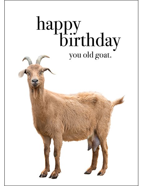 Happy Birthday You Old Goat Card - Cards Books-Cards : Tessa Maes - Gifts  and Homewares Boutique 