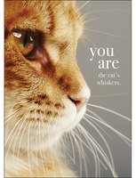 You are the Cats Whiskers Card