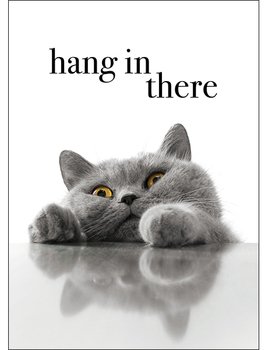 Hang in There Card-gift-ideas-Tessa Mae's with Attitude | Gifts and Homewares | Mapua NZ