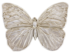 Butterfly Small Champagne Wall Decoration