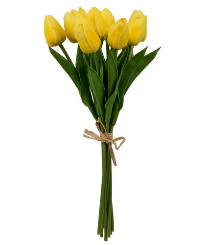 Tulip Bunch Yellow