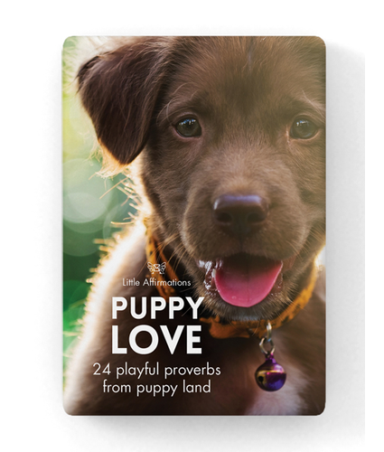 Puppies Little Aff Box