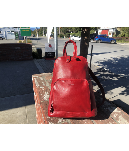 Red Backpack Bag