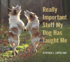 Relly Importatnt Stuff My Dog Taught Me 