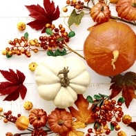 Cocktail Napkin Pumpkin and Leaves-home-decor-Tessa Mae's with Attitude | Gifts and Homewares | Mapua NZ